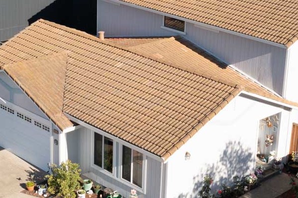 Updated home exterior in Petaluma with new siding, windows, and modern landscaping