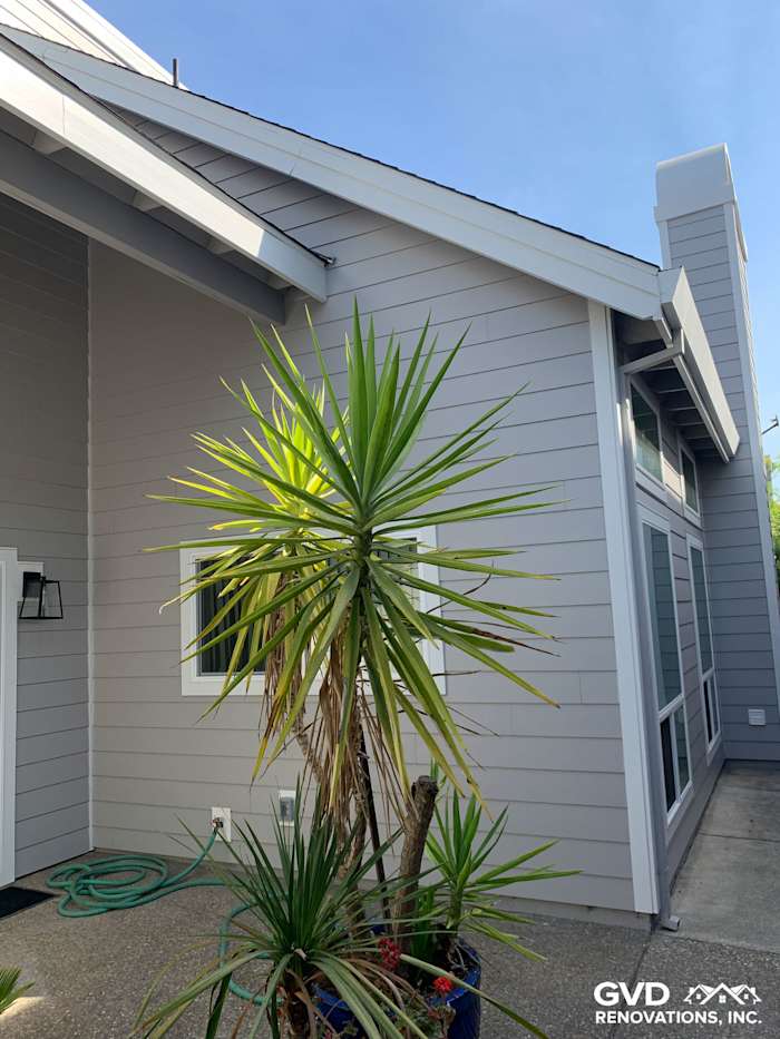 Pearl Gray James Hardie siding with Arctic White trim on modern home in Napa, CA, featuring a tropical plant