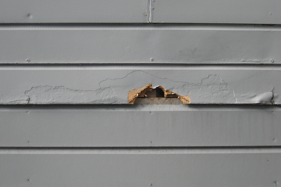 Understanding the Six Typical Issues with Masonite Siding