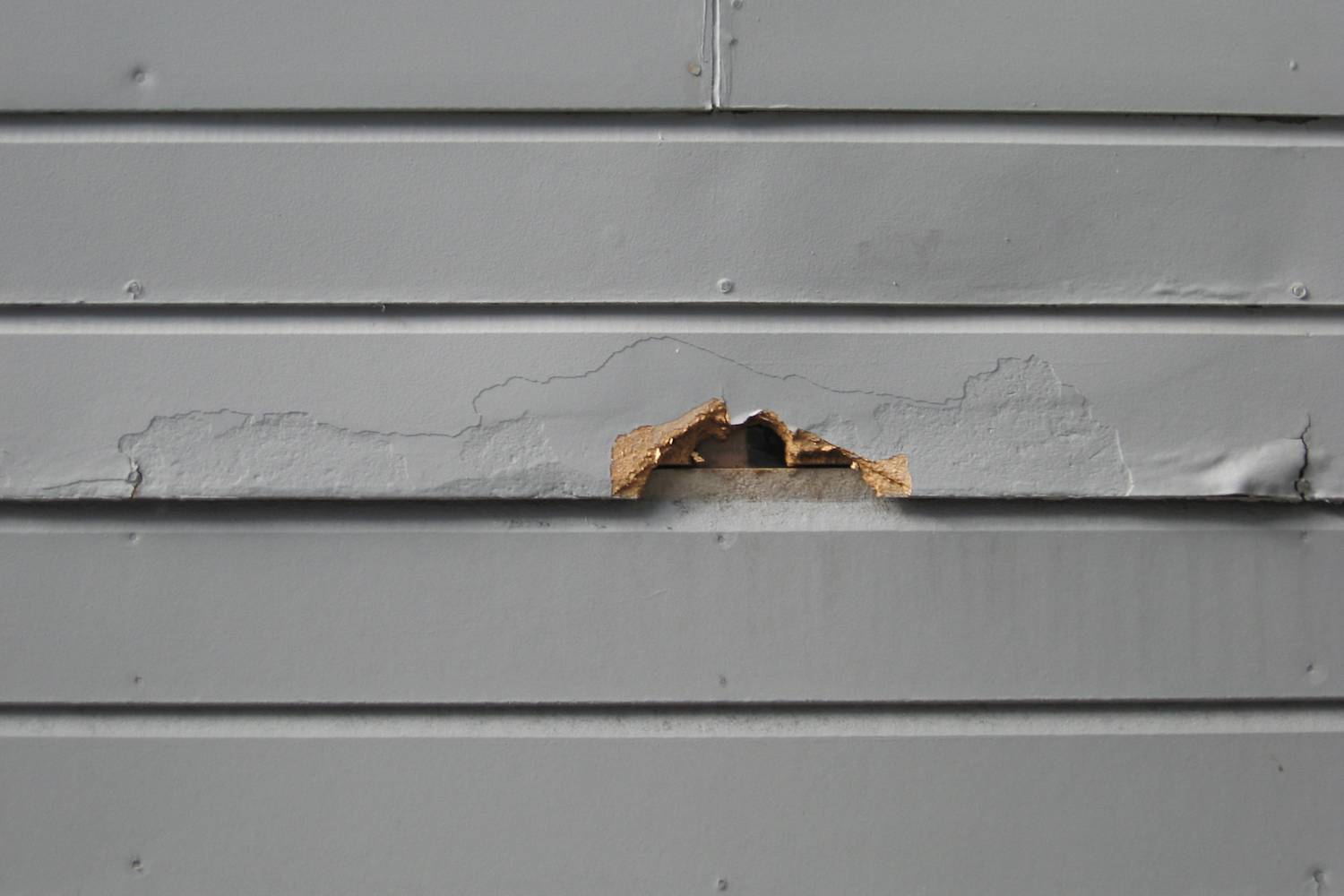 Understanding the Six Typical Issues with Masonite Siding