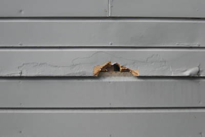 6 Common Problems with Masonite Siding