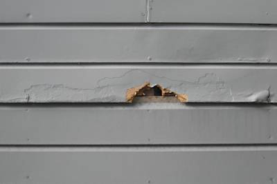 Understanding the Six Typical Issues with Masonite Siding