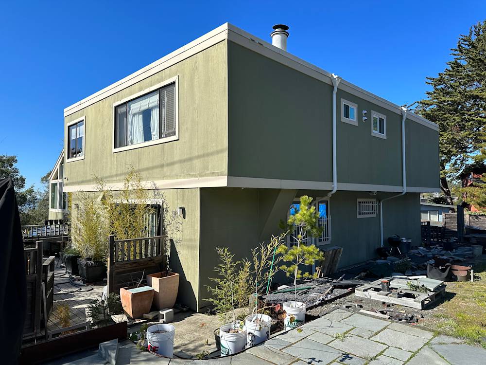 Overgrown backyard with uneven stone patio and green exterior walls in Sacramento