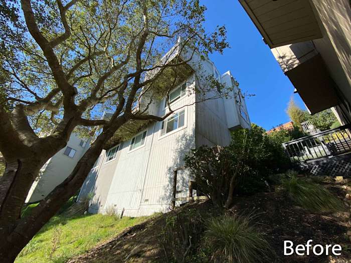 James Hardie lap siding in light gray on a home in Mill Valley, with lush landscaping below