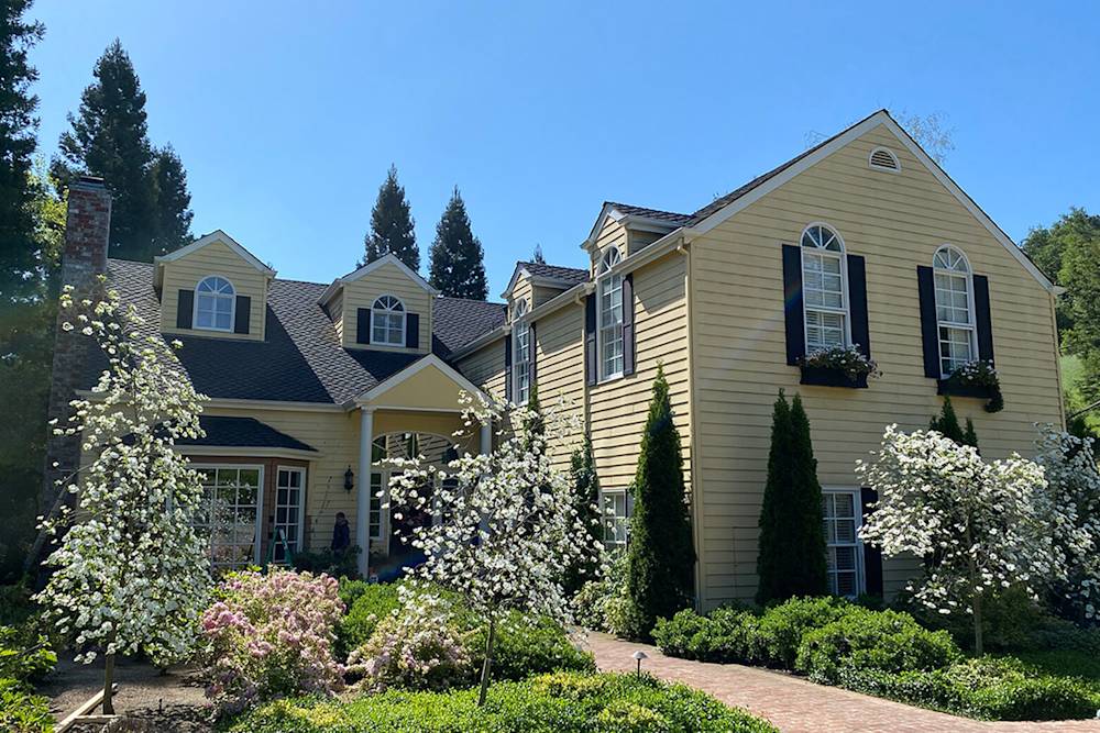 Yellow siding on a traditional home with overgrown greenery and outdated features