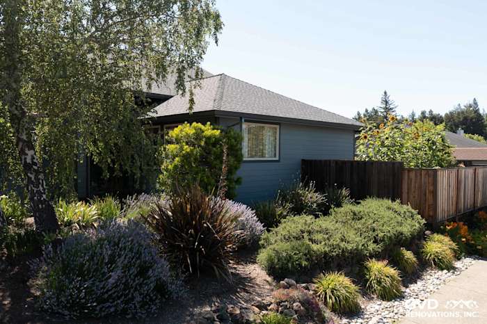 Exterior of home featuring Boothbay Blue James Hardie siding, Milgard windows, and lush landscaping in Rohnert Park
