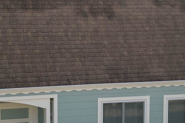 Updated home exterior featuring James Hardie Artisan Lap Siding in soft blue, showcasing a modern aesthetic
