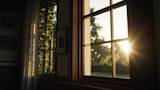 Double Hung Window: What You Need to Know