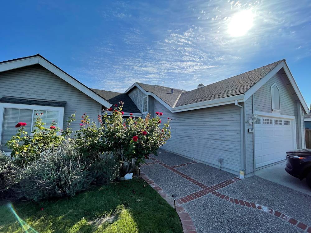 Charming residential exterior in Sacramento with blooming roses and patterned concrete driveway