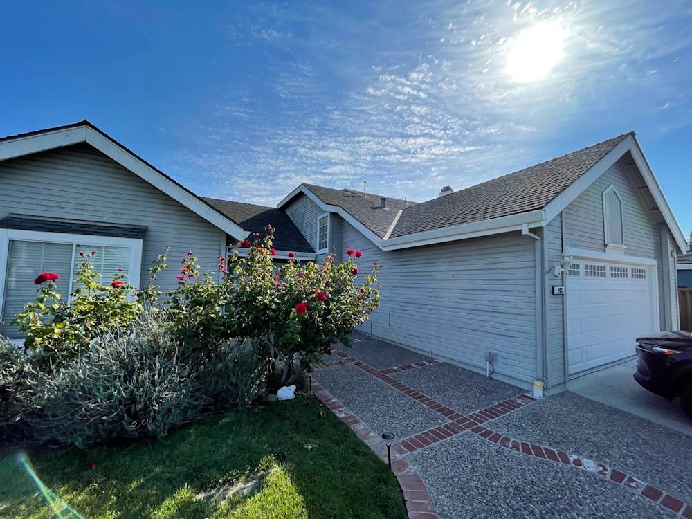 Front yard with blooming roses, concrete walkway, and sunny Sacramento sky