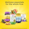 Elderberry Immune Support Gummy