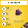 Elderberry Immune Support Gummy