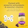 Elderberry Immune Support Gummy