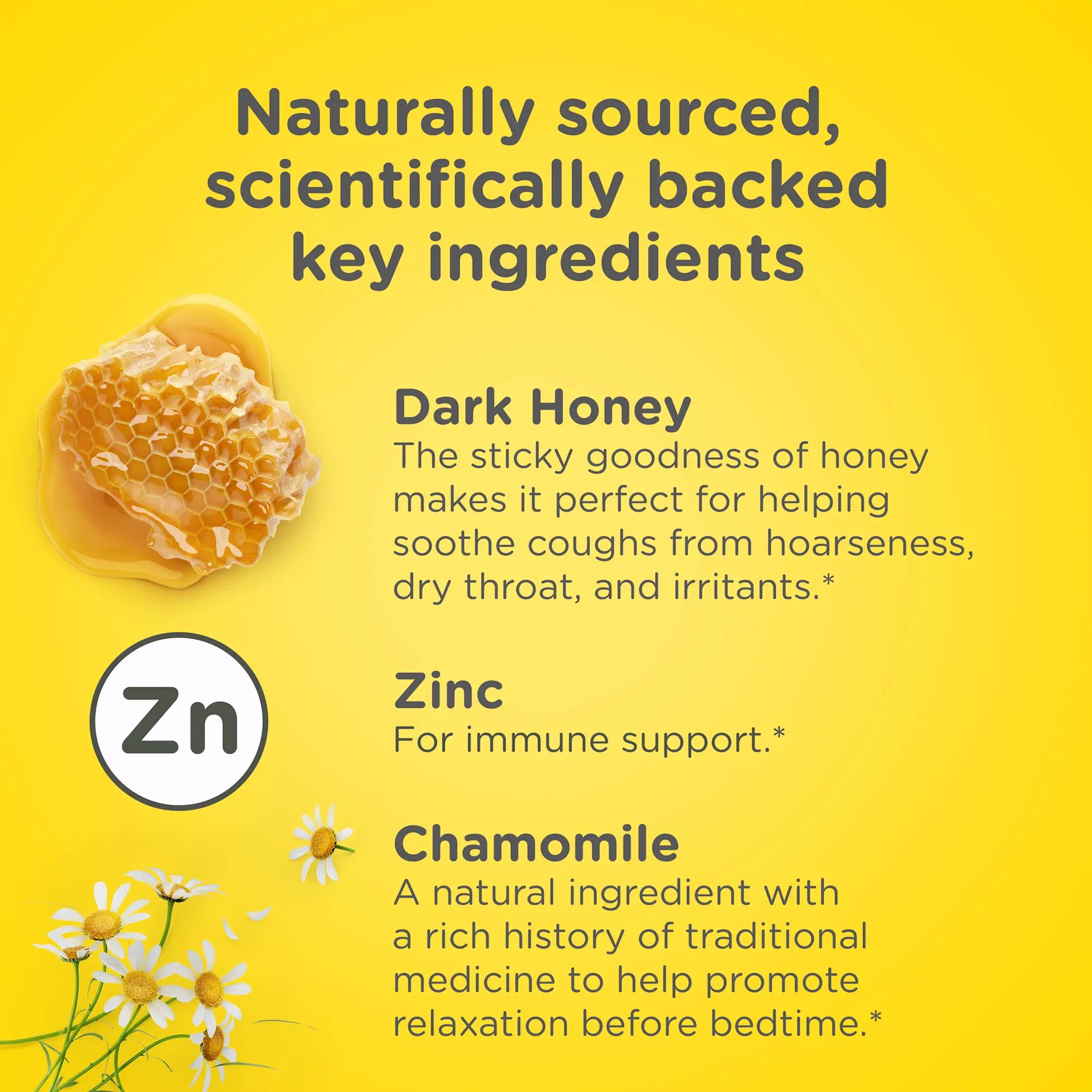 Baby Nighttime Cough Syrup + Immune Support with Honey | Zarbee's®