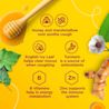 Zarbee’s® Children's Complete Cough and Cold Syrup medicinal ingredients and their benefits