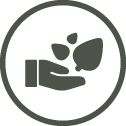 Purposefully selected ingredients icon