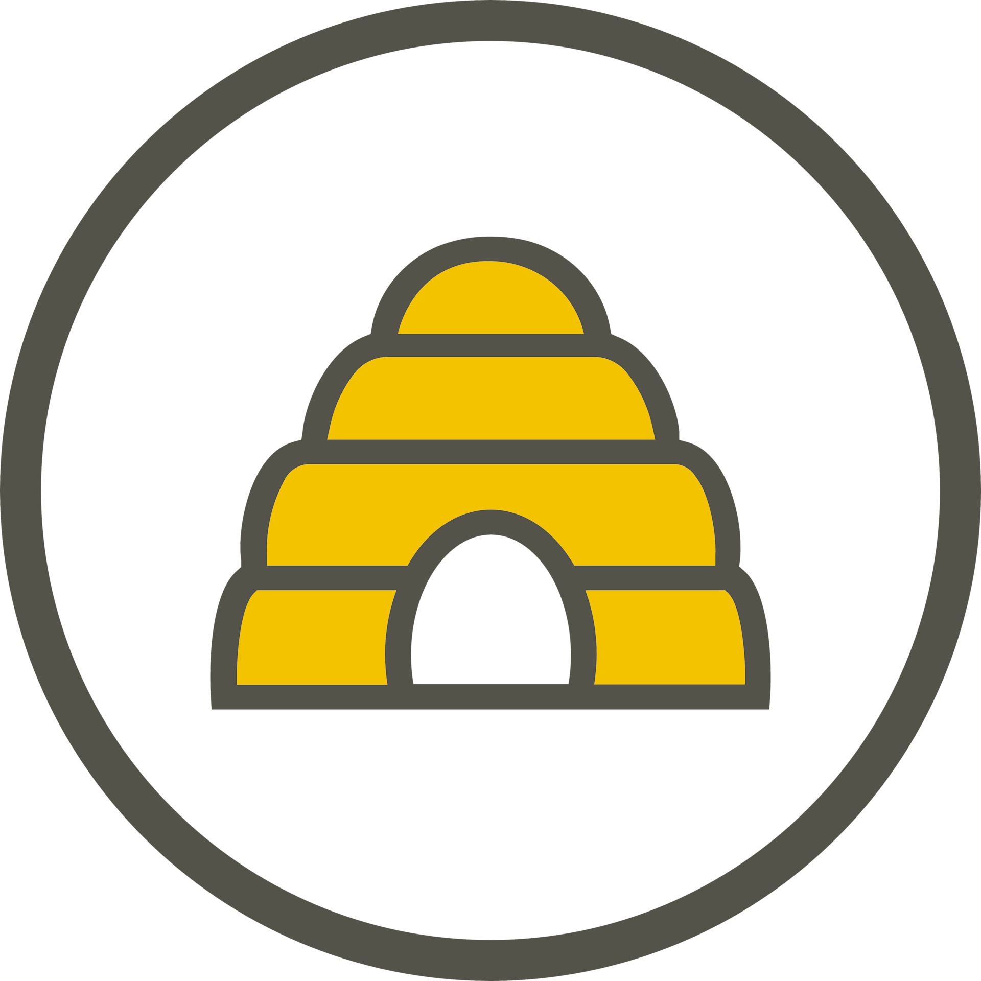 Bee Hive Icon