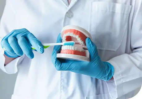 A close up of a set of dentures being held by a dental technitian, demonstrating how to brush dentures before instructing on how to use Fixodent denture adhesive. 