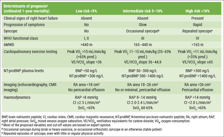 ERS 2018 - PAH: Table 1 Risk assessment