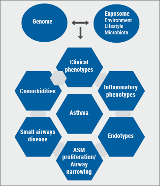 ERS 2018 - asthma: Figure 1 Diagram depicting