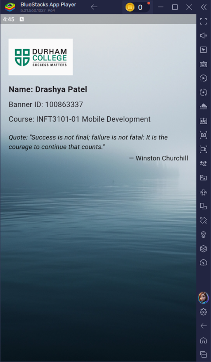 Screenshot 5