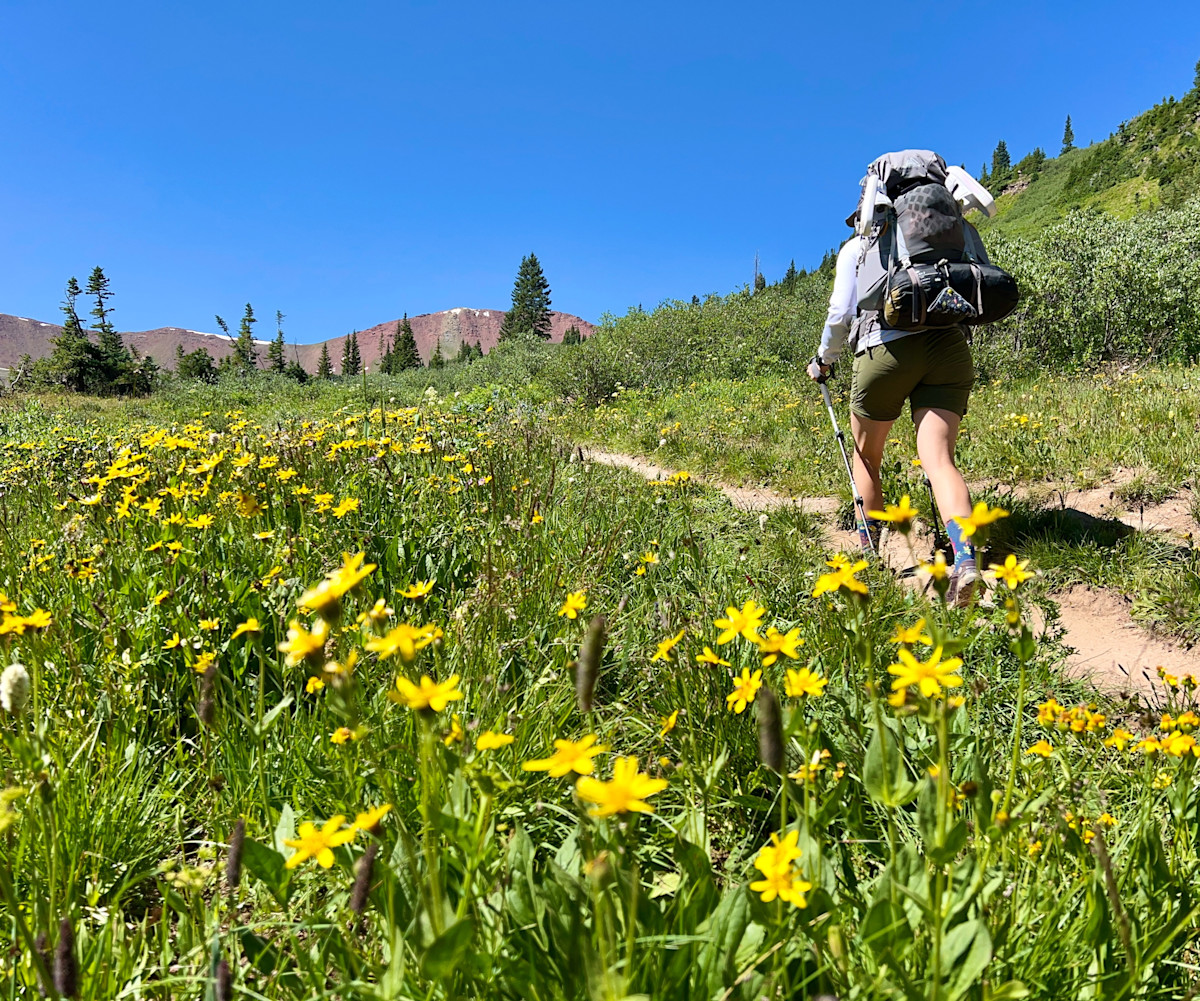 5 Unusual Tips For Leaving No Trace While Hiking