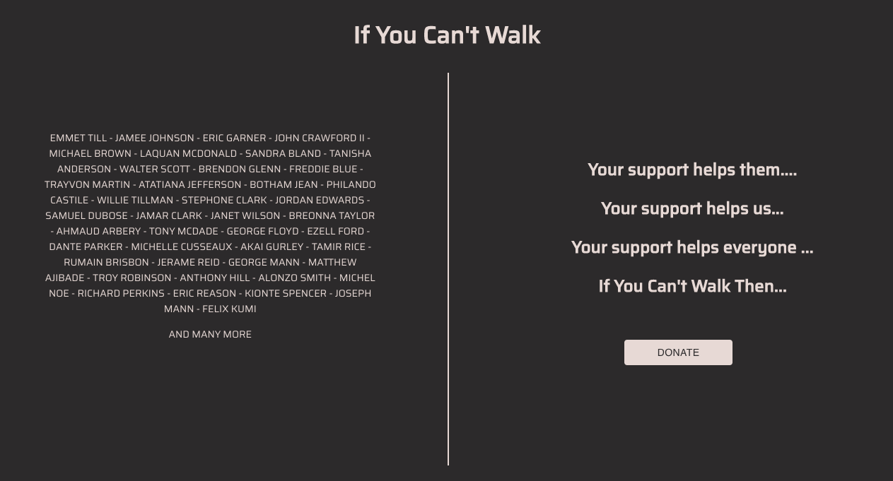 portfolio-image-If you can't walk