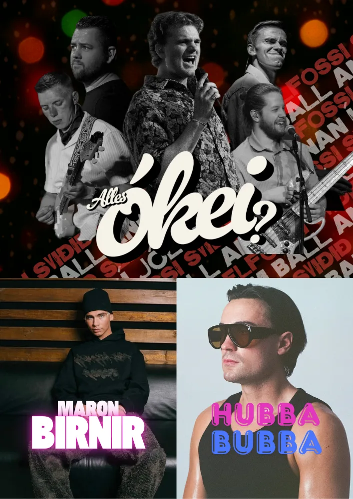 Húbba Búbba - Maron Birnir - Alles Ókei - 2 í jólum djamm!