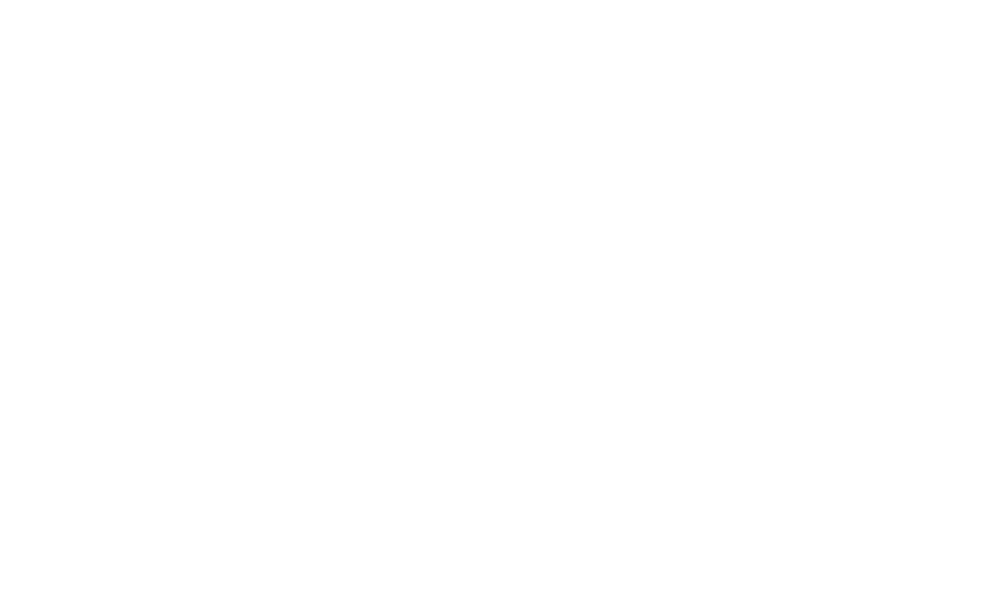 The Vintage Caravan