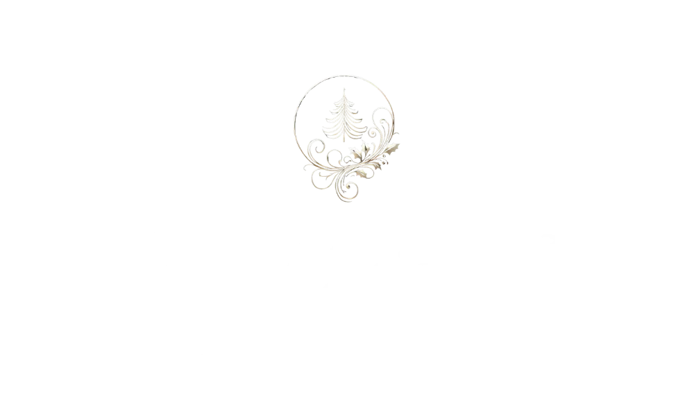 Þór Breiðfjörð - jólatónleikar