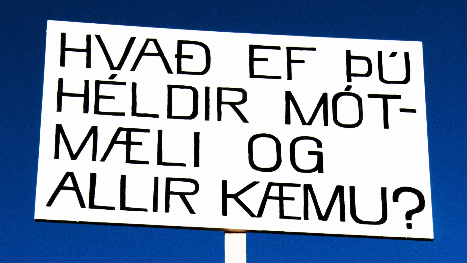 Hvað ef þú héldir mótmæli og allir kæmu? - LÓKAL