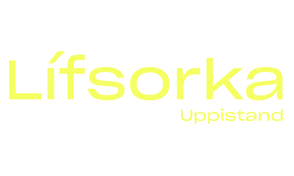 Lífsorka - Bergur Ebbi uppistand