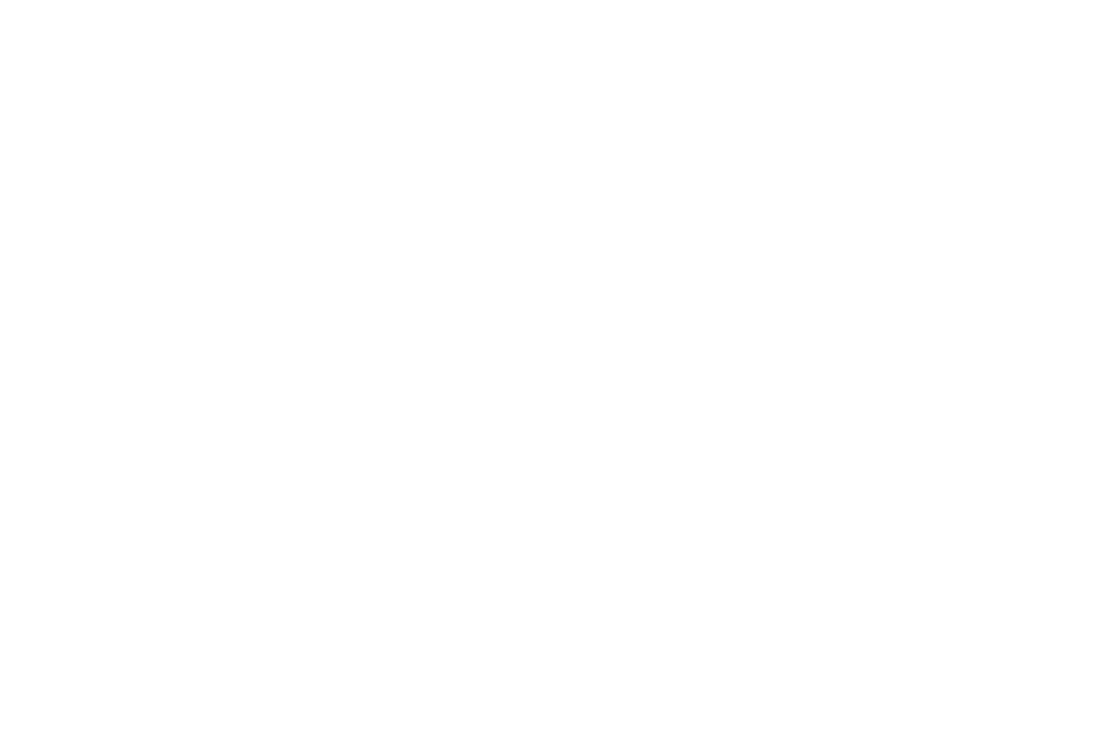 Iceland Noir 2024