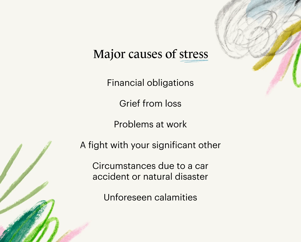 This is an original infographic showing the major causes of stress