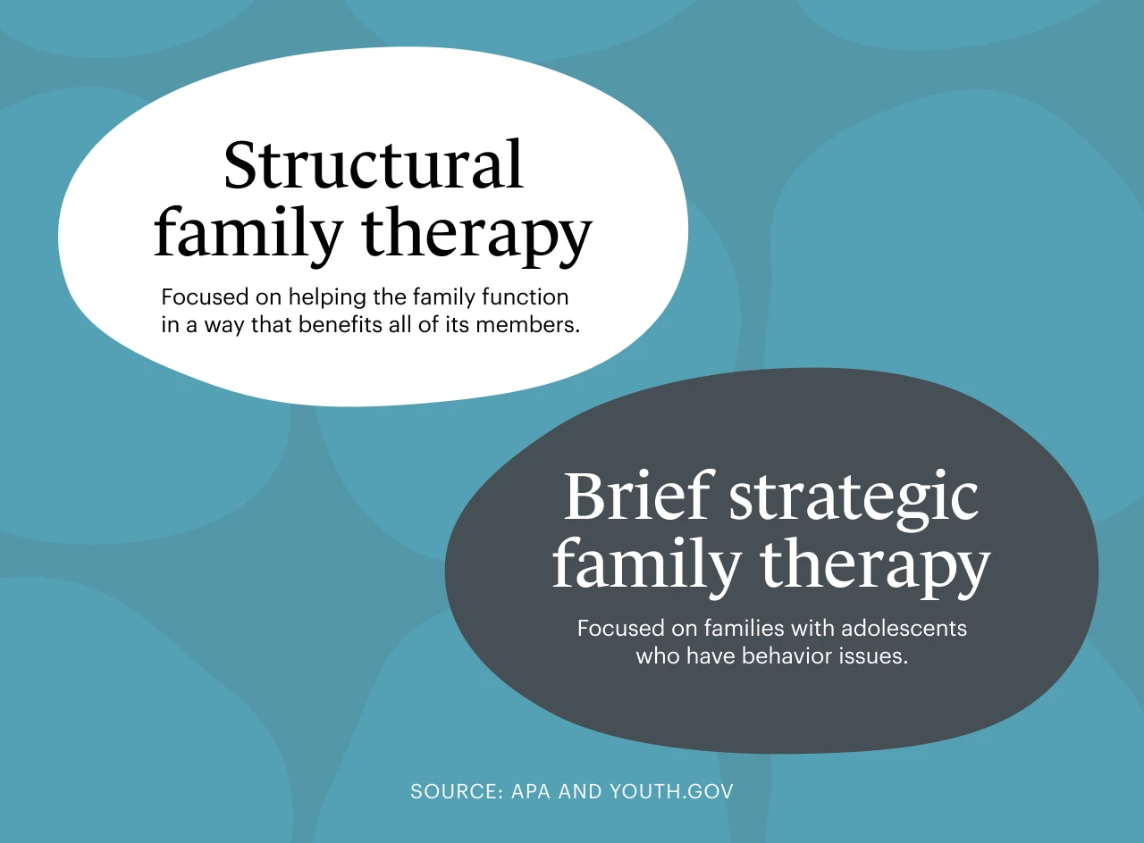 A definition sourced by APA and youth.gov on structural family therapy and brief strategic family therapy