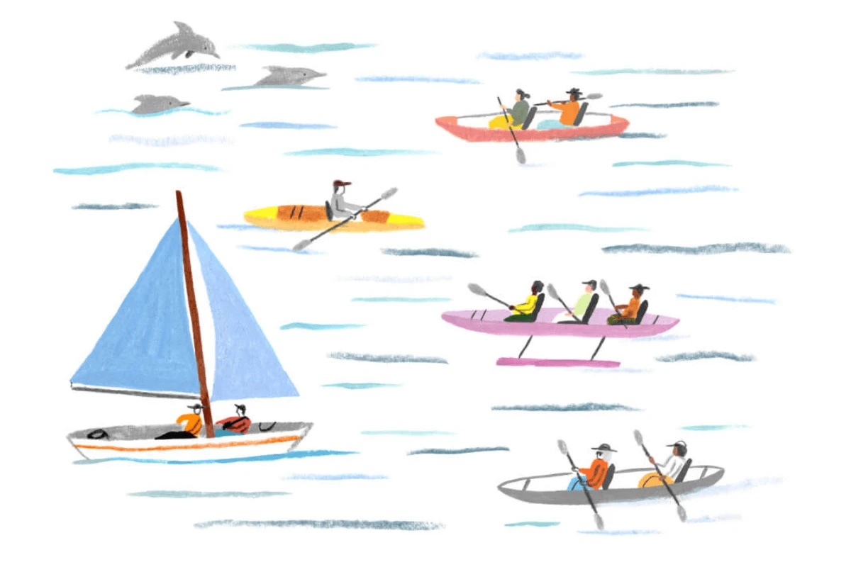 A Monarch by SimplePractice illustration of four kayaks, one sailboat, and three dolphins on water.