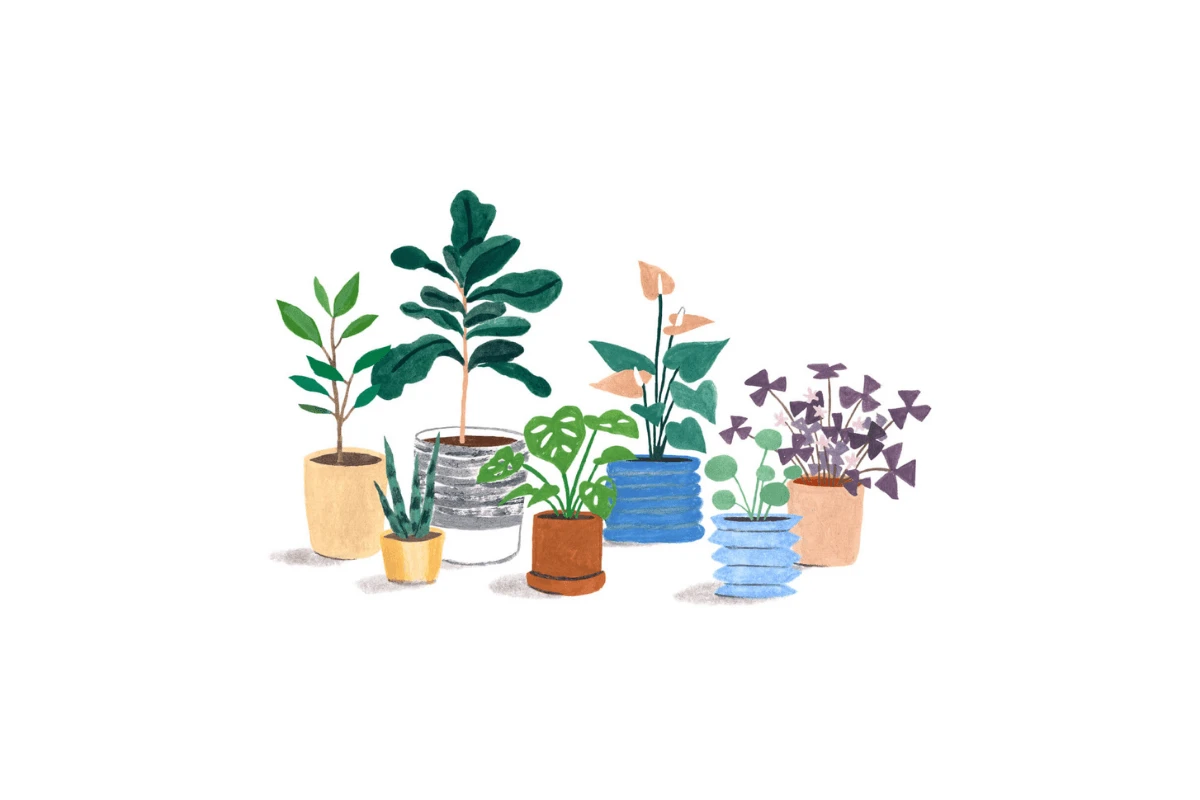 A Monarch by SimplePractice illustration showing a collection of seven potted plants.