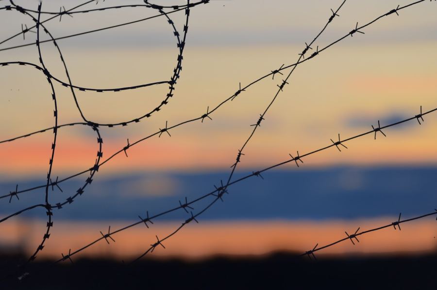 Close-up photo of barbed wire with a sunset or sunrise in the background.