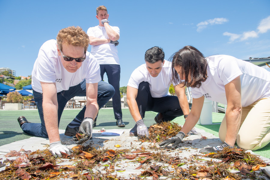 Lander & Rogers employees sifting through a collection of sea waste to identify rubbish.