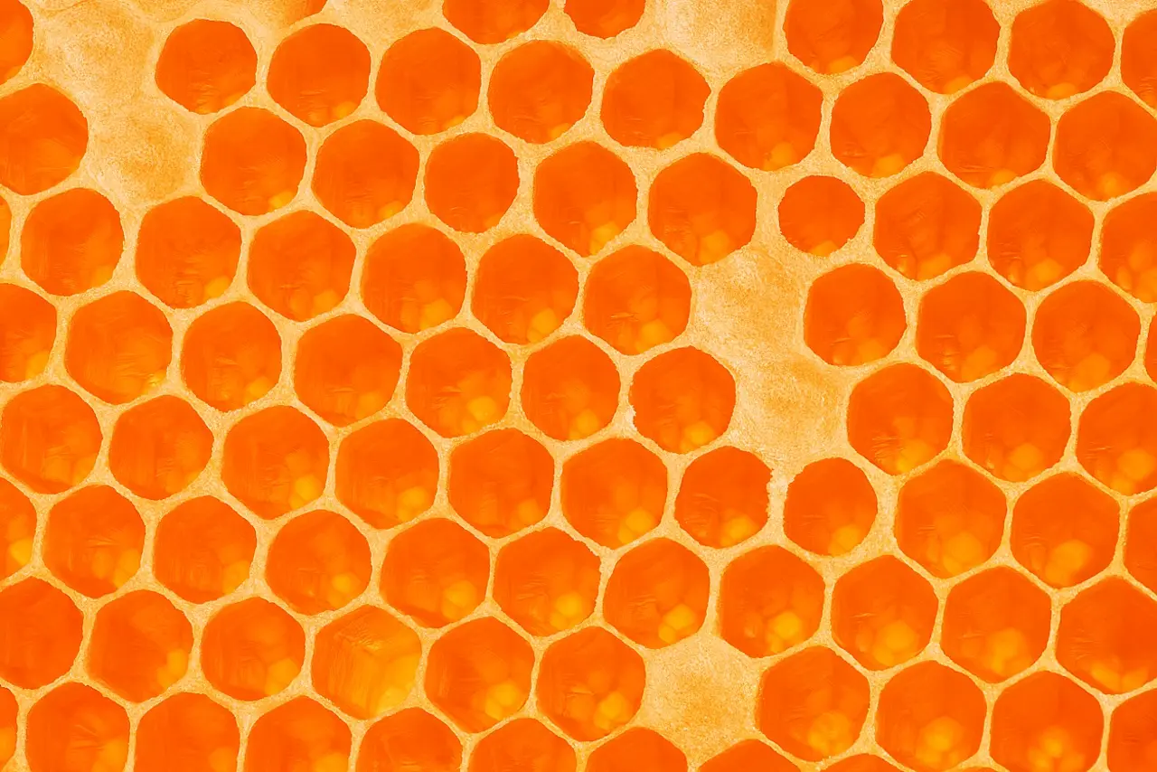 Honeycomb.