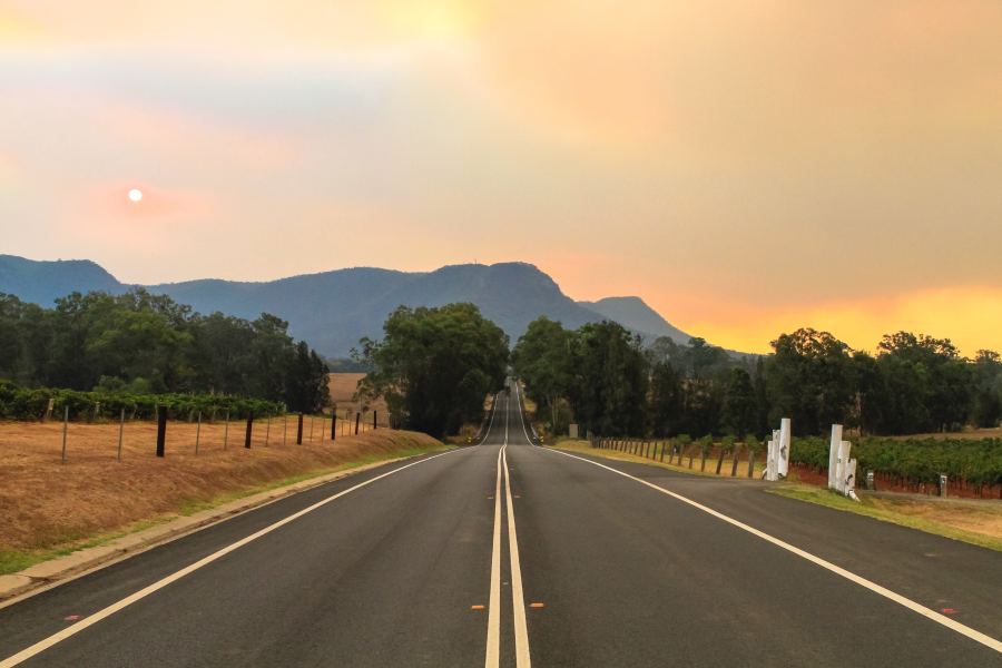 Image for Article: Lander & Rogers takes time out for bushfire relief
