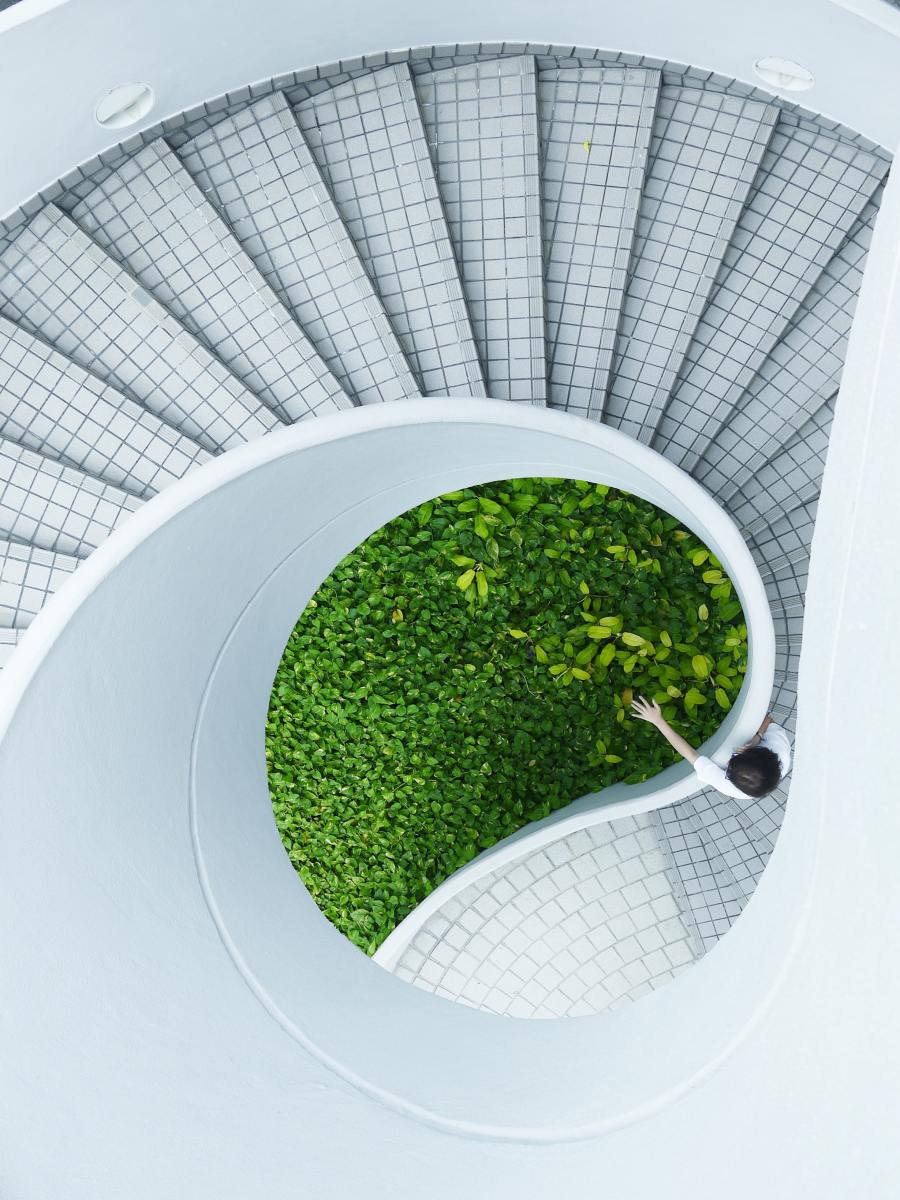 Spiral staircase with garden in the centre.