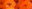 Website Banner for People Page