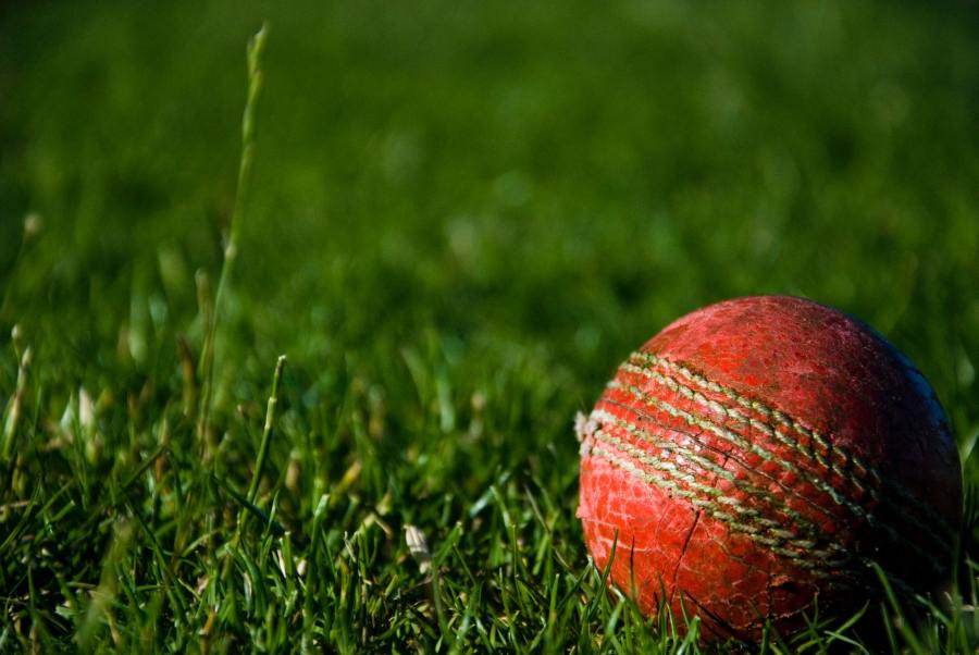 Close-up of a cricket ball lying on a grass pitch.