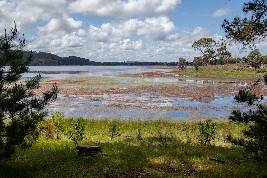 AI choosing recruitment