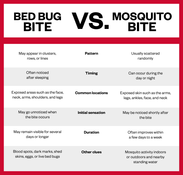 Comparison chart titled "Bed Bug Bite VS. Mosquito Bite" comparing patterns, timing, locations, initial sensation, duration, and other clues between bed bug bites and mosquito bites.