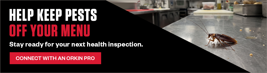 Help keep pests off your menu. Stay ready for your next health inspection. Connect with an Orkin Pro.