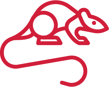 Rodent Control Icon