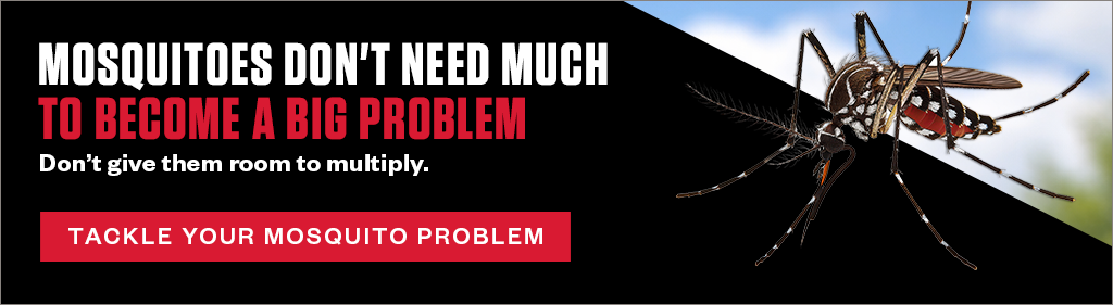 Banner reading "Mosquitoes don't need much to become a big problem. Don't give them room to multiply. Tackle your mosquito problem" next to a close-up image of a mosquito.