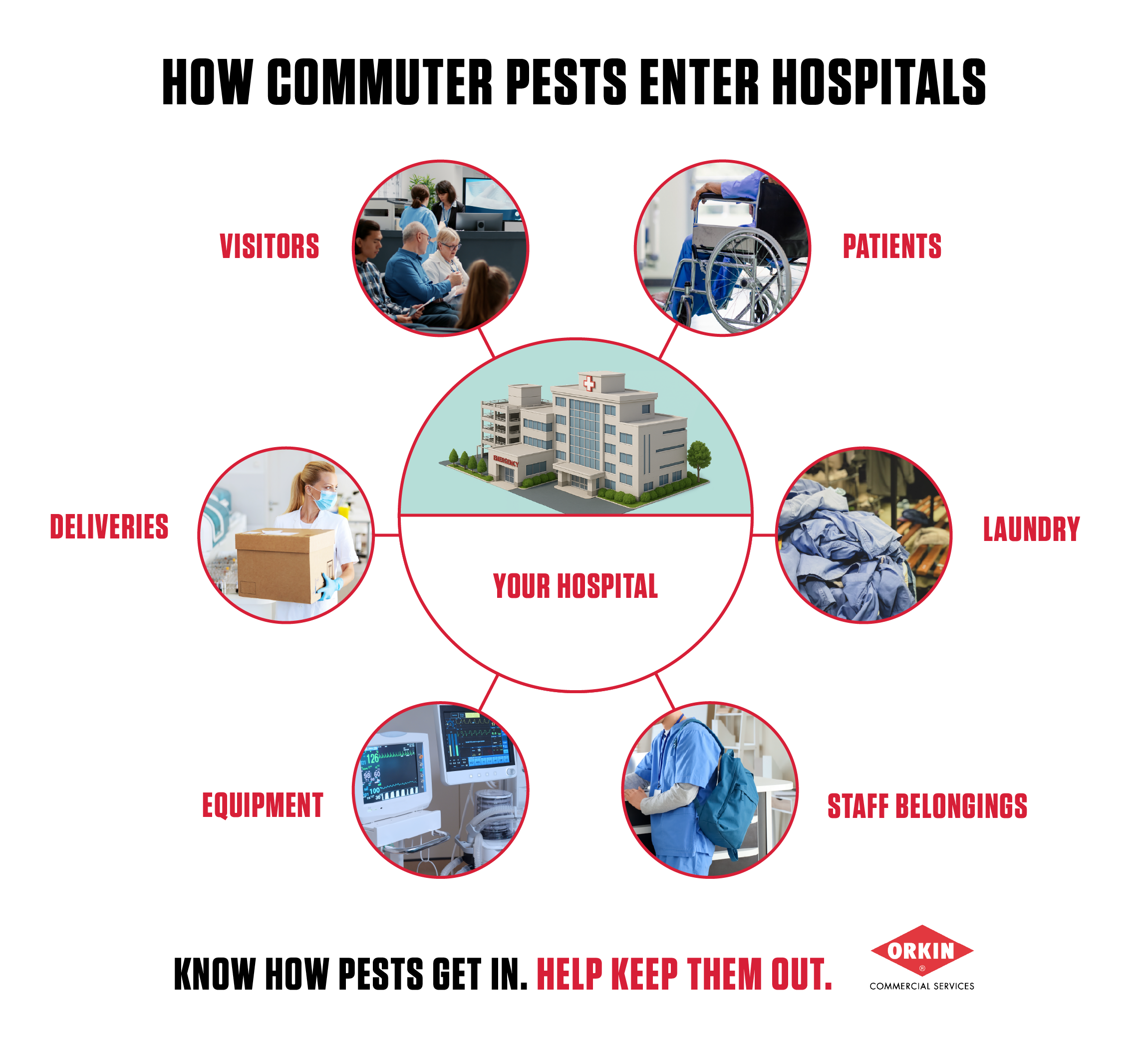Orkin infographic titled 'How Commuter Pests Enter Hospitals.' It diagrams six distinct entry pathways for pests: visitors, patients, laundry, staff belongings, equipment and deliveries.
